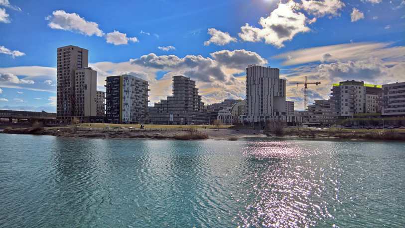 Quilt Rosê