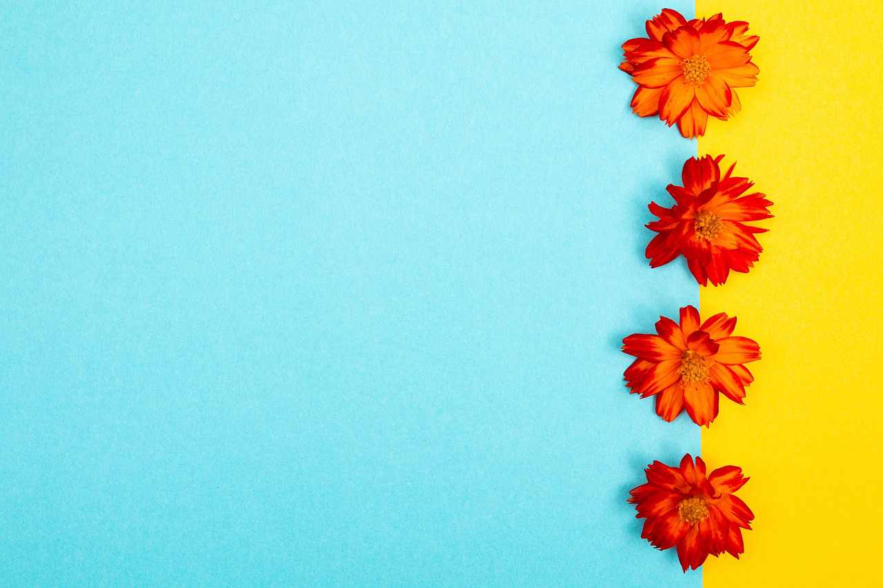 Cálice 1