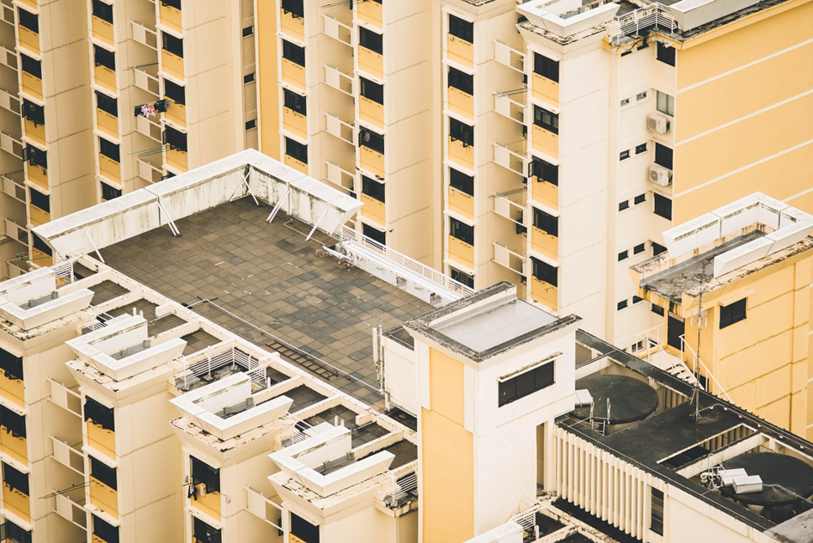 Floral 25