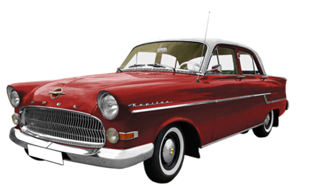 Ursinho 79
