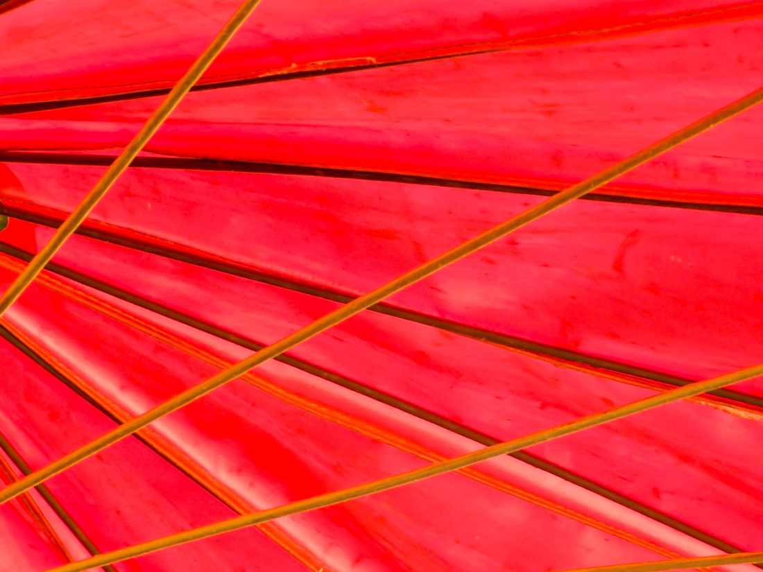 Borboletas Neon 001
