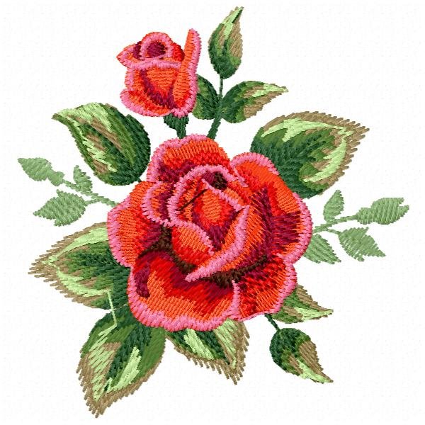 Floral 59 Rosa